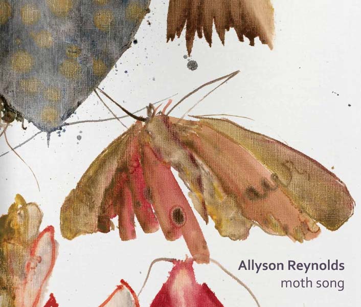 moth song cover moth song cover