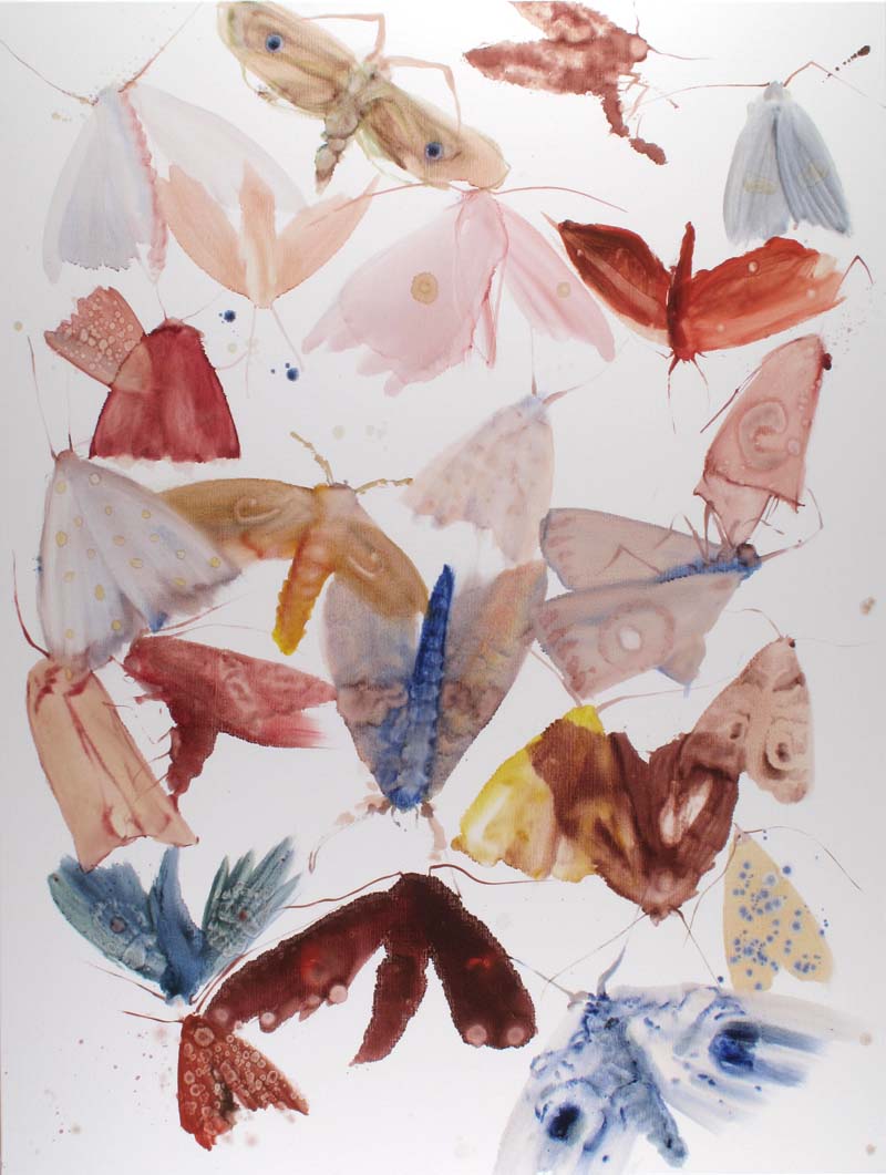 Moths 09 - 03