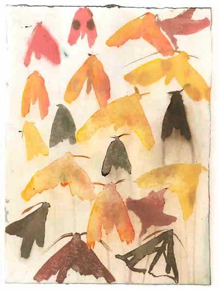Moth Dust III