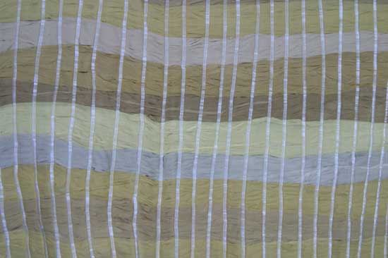 cloaked  #3 (detail)