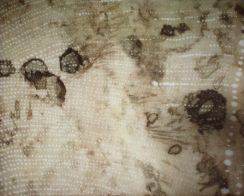 mappa print #17