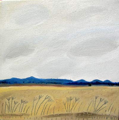 this is not a landscape