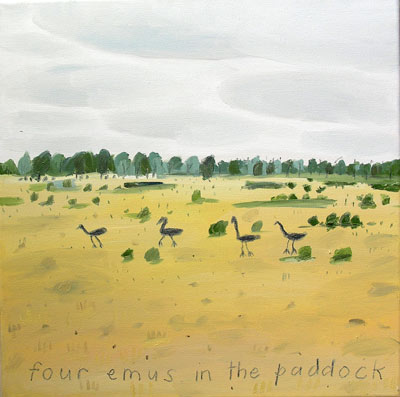 four emus in the paddock at bielberanga
