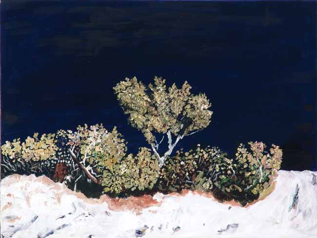 Bonzai Garden, Dove Lake, Cradle Mountain