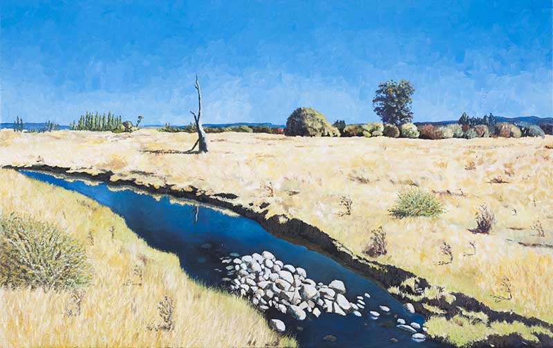 Bothwell Summer
