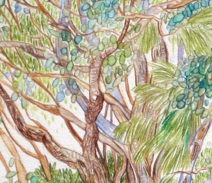 'Lake Tyers Yard Boundary' (Detail)