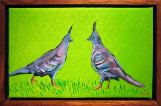 Crested Pigeons