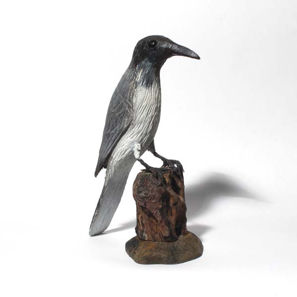 Little Friar Bird