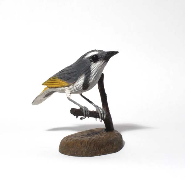 Crescent Honeyeater