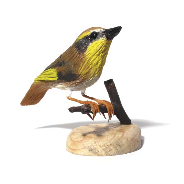 Yellow-Throated Scrub Wren