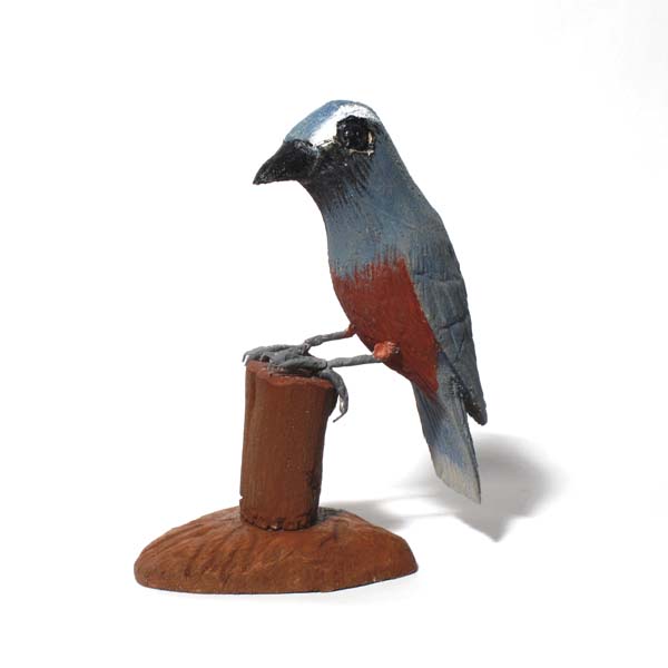 White-Browed Wood Swallow
