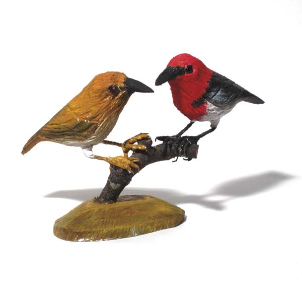 Scarlet Honeyeaters