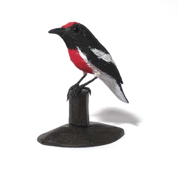 Red-Capped Robin