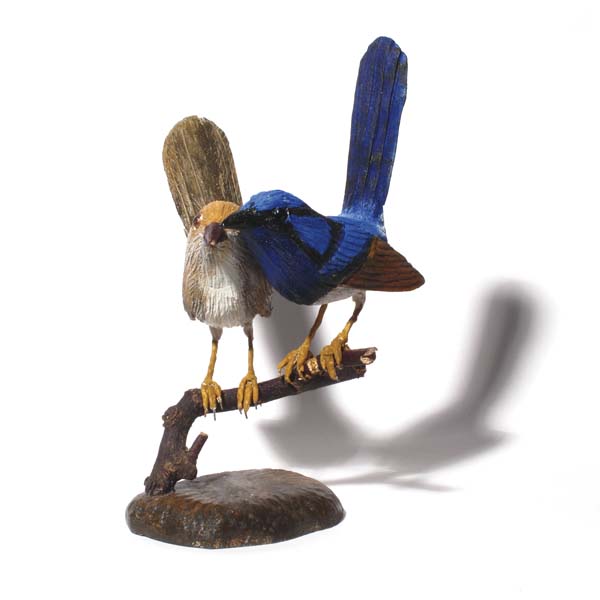 Superb Fairy Wren