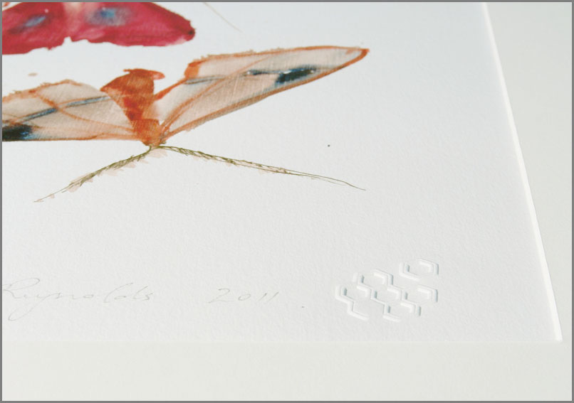 Allyson Reynolds Moths 10 Print (detail)