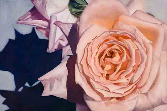 Rose Splendour Oil Painting on Canvas