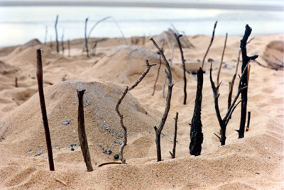 Diggings 4 - Brampston Beach Environmental Art Installation