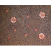 Artist John Weeronga Bartoo Title 516 Rockwells at Weengallon Year 2010 Medium Acrylic on Canvas Height 80cms Width 100cms wileym1005update2.jpg