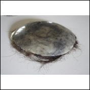 Artist Judith Kentish Title 'from ideas of the mute...waxworks2011 Year 2011 Medium wax and hair Height 12cm (diam) approx laner1005update2.jpg