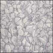 Artist john flitcroft Title Leaf Fall Year 2011 Medium Ink on Canvas Height 140 Width 140 Artist john flitcroft Title Leaf Fall Year 2011 Medium Ink on Canvas Height 140 Width 140