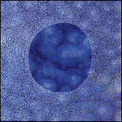 Artist Kathryn Brimblecombe-Fox Title Hovering At The Centre Year
2010 Medium Oil Support Linen Height 30 cm Width 30 cm