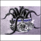 Artist Margaret Genever Title Marsupial Tail Soup Medium archival
pigment print Support Hahnemuhle 308gsm paper Height 26cm Width 37cm