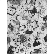 Artist Aria Stone Title Materiality Year 2011 Medium Charcoal Support Paper Height 76 cm Width 56 cm