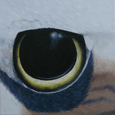 Artist Cherie Durant Title Eastern Curlew Year 2012