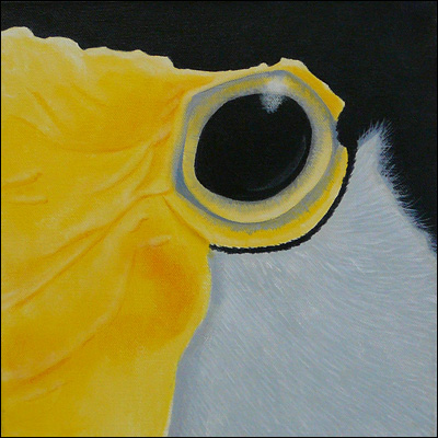 Artist Cherie Durant Title Masked Plover Year 2012