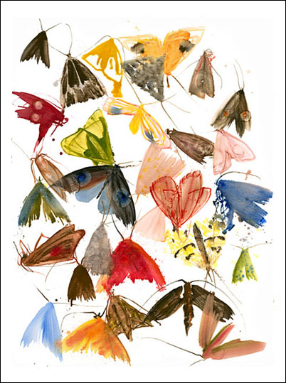 Allyson Reynolds Moths 6