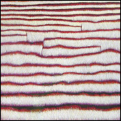 Artist Yvonne Mills-Stanley Title Who Knows the Grass II Year 2011 Medium Oil on linen Height 122 cm Width 122 cm