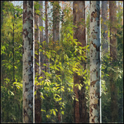 Artist 	A. J. Taylor Title 	Mapleton 5 Year 	2011 Medium 	oil Support 	board Height 	183cm Width 	183cm